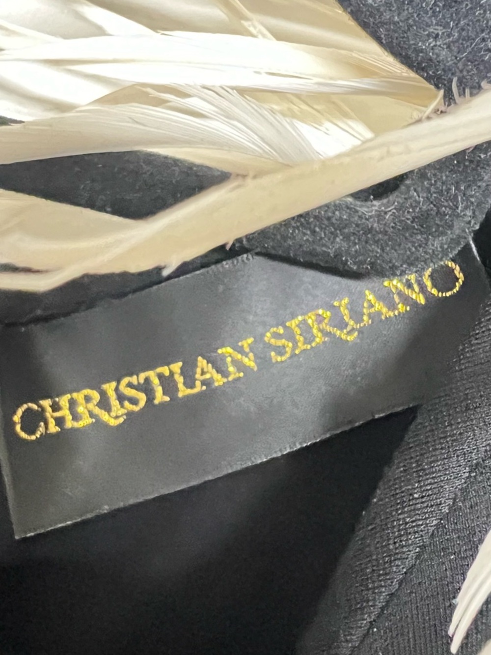 Christian Soriano Long Sleeve Dress With Velvet Ruffle Hem And Feathers Runway - Picture 8 of 12